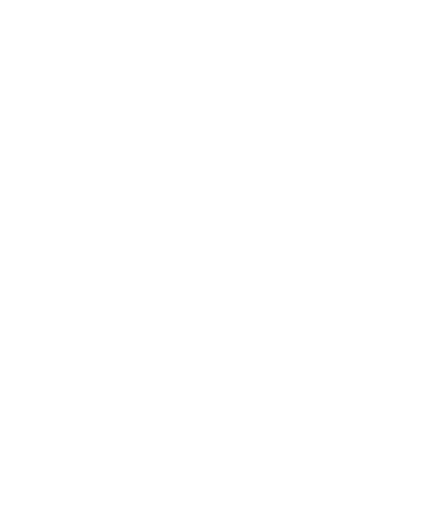 AwardIcon2