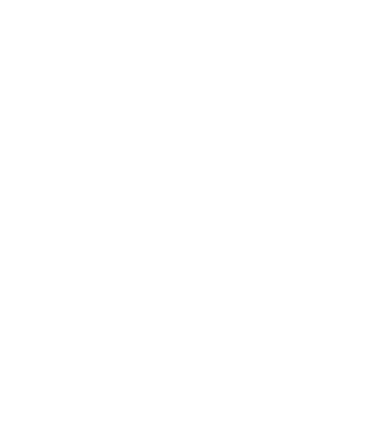 AwardIcon3