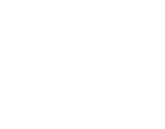 AwardIcon4